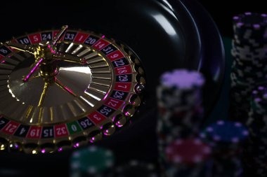 totopaedi Fast-Paced Live Rounds